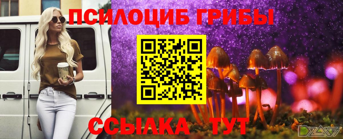 Выкса  Псилоцибиновые грибы мицелий  Псилоцибиновые грибы Magic Shrooms  купить   Вход с VPN 